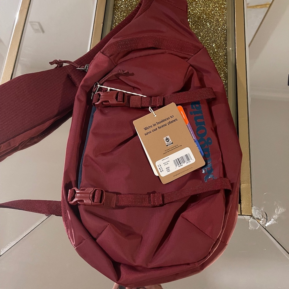 Patagonia Atom Sling 8L